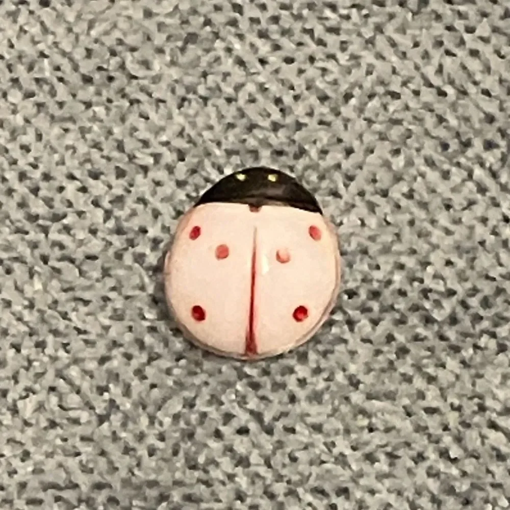 Ladybug Button